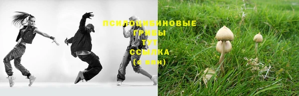 Альфа ПВП Баксан