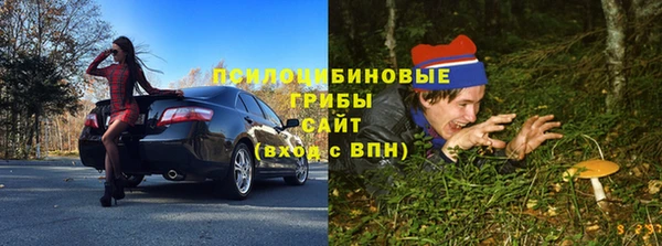 амфетамин Белокуриха