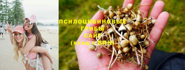 Альфа ПВП Баксан