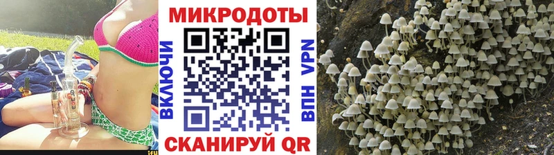 Купить где  Сенгилей  Галлюциногенные грибы Magic Shrooms 