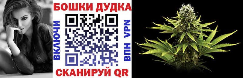 Купить закладки  Сенгилей  МАРИХУАНА индика 